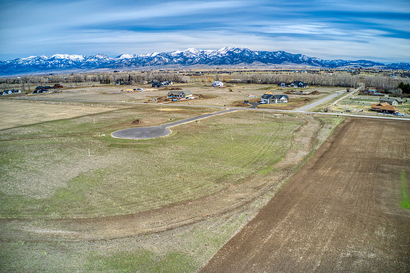 DJI_0435