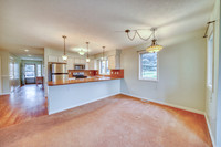 20251107_3928_SPRUCE_MEADOWS_DR_11