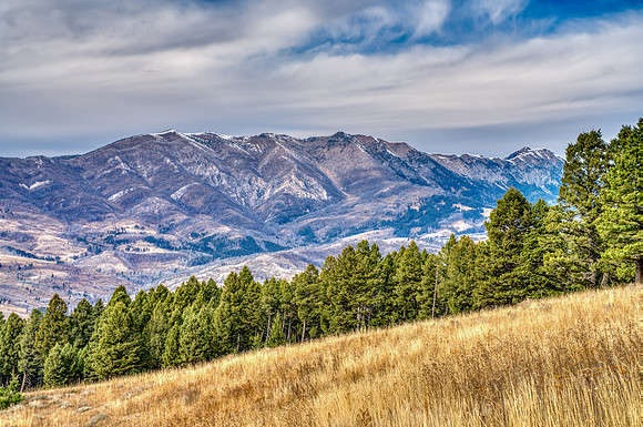 20251105_1859_BRIDGER_RD_12