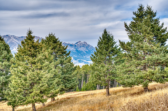 20251105_1859_BRIDGER_RD_33