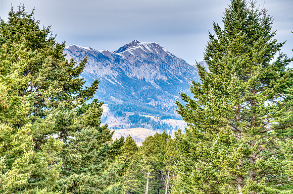 20251105_1859_BRIDGER_RD_35