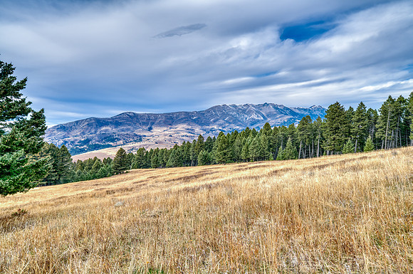 20251105_1859_BRIDGER_RD_41