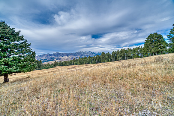 20251105_1859_BRIDGER_RD_40