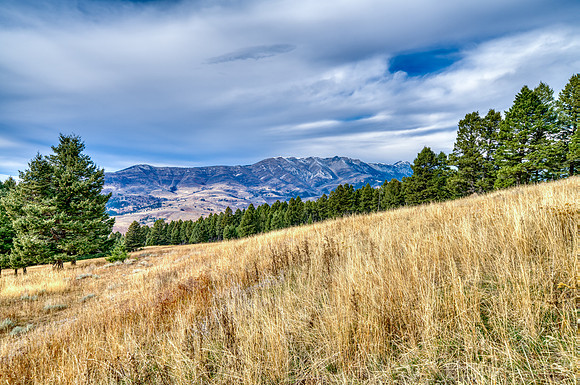 20251105_1859_BRIDGER_RD_42