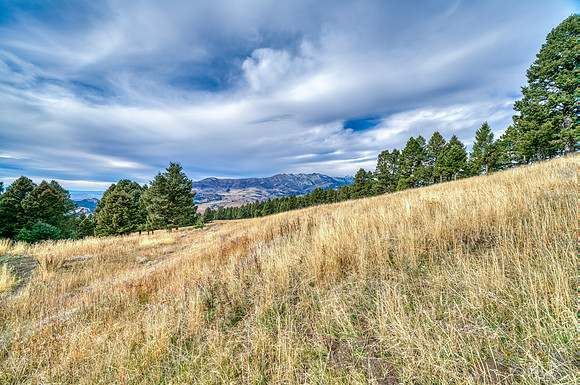 20251105_1859_BRIDGER_RD_43