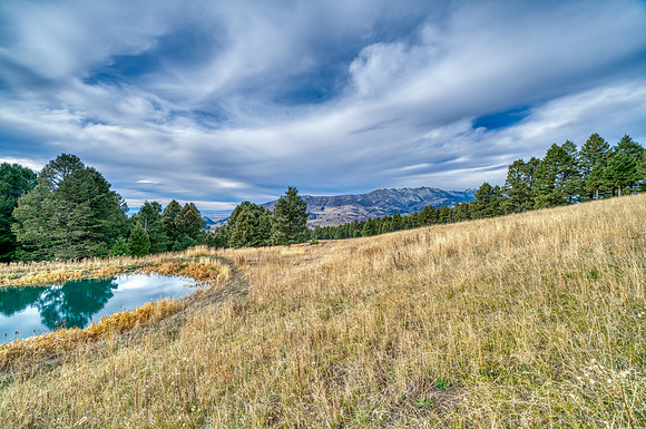 20251105_1859_BRIDGER_RD_44
