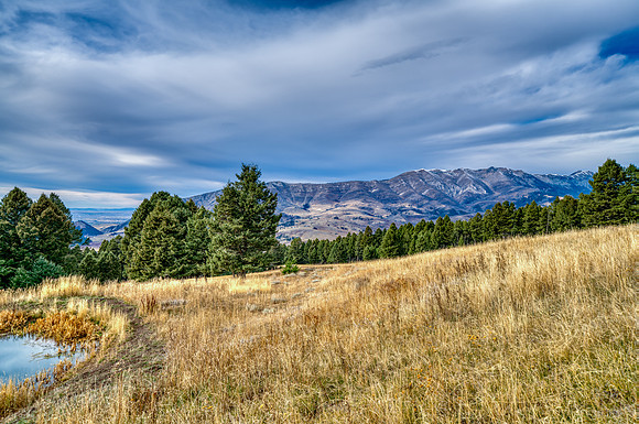 20251105_1859_BRIDGER_RD_45