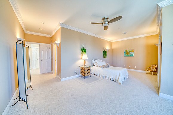 20251113_1859 BRIDGER WOODS RD_51