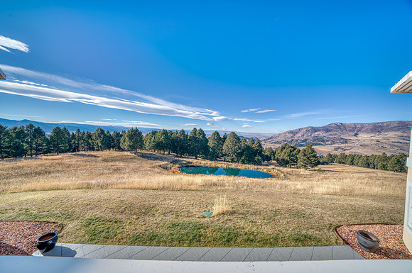 20251113_1859 BRIDGER WOODS RD_88