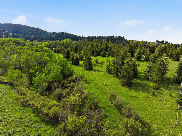 Hartmann_Photography_Lot_22_Grandview_Heights_013