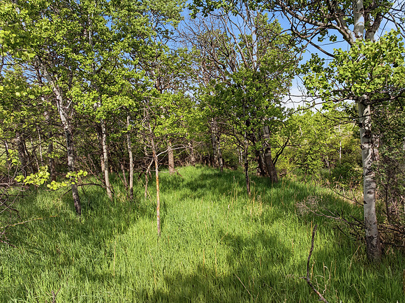 Hartmann_Photography_Lot_22_Grandview_Heights_025