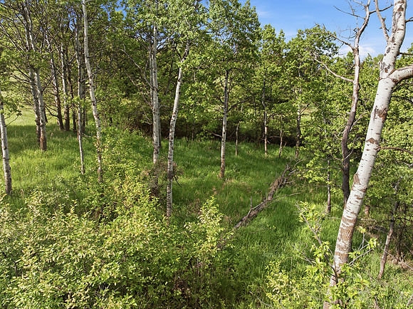 Hartmann_Photography_Lot_22_Grandview_Heights_022