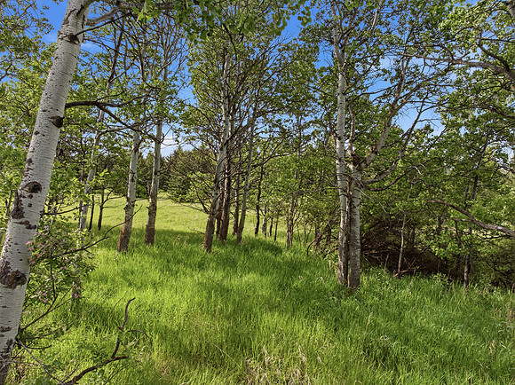 Hartmann_Photography_Lot_22_Grandview_Heights_024