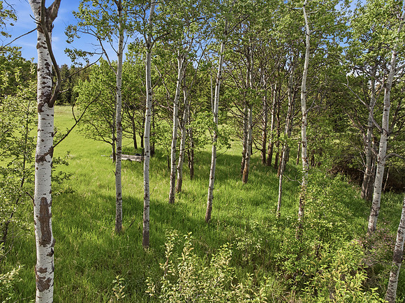Hartmann_Photography_Lot_22_Grandview_Heights_023