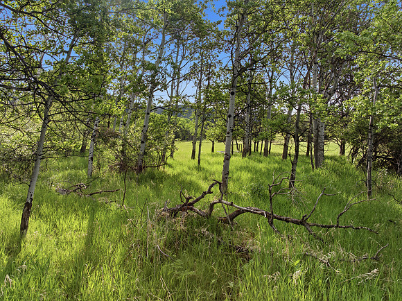 Hartmann_Photography_Lot_22_Grandview_Heights_026