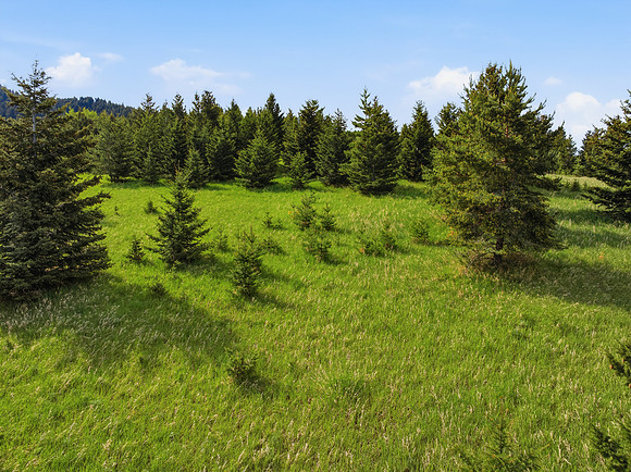 Hartmann_Photography_Lot_22_Grandview_Heights_028