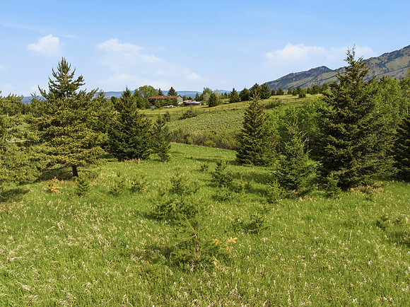 Hartmann_Photography_Lot_22_Grandview_Heights_029