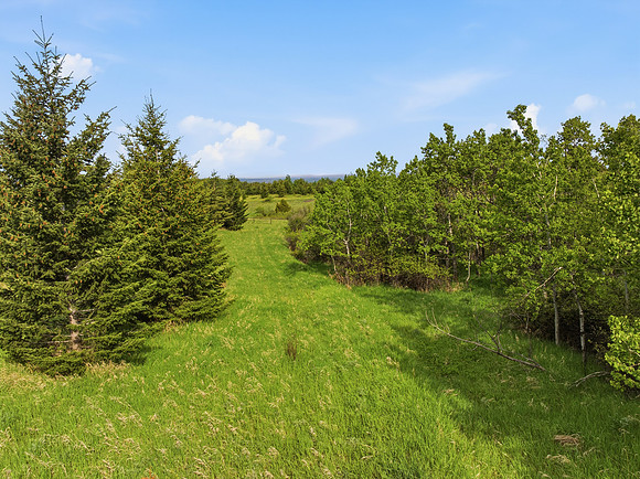 Hartmann_Photography_Lot_22_Grandview_Heights_032