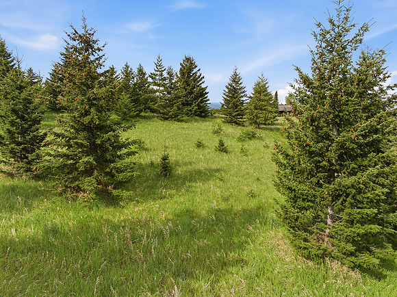 Hartmann_Photography_Lot_22_Grandview_Heights_033