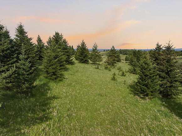 Lot_22_Twlight_004