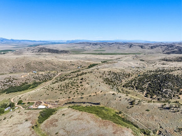 20260623_Hartmann_Photography_010
