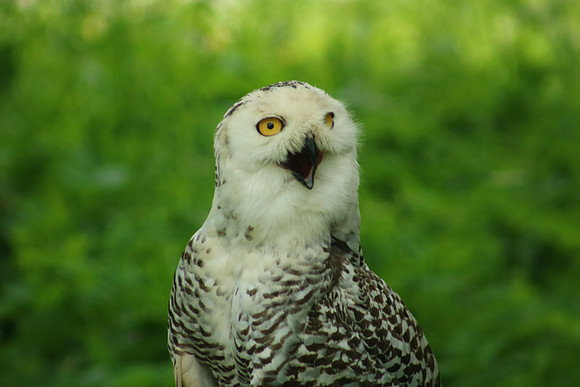 6176651888_IMG_3021