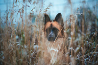 _1JH0123-HDR-Edit