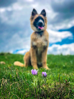 IMG_3839