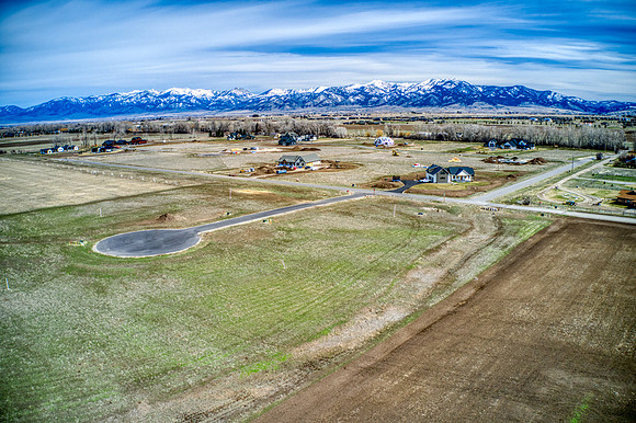 DJI_0438